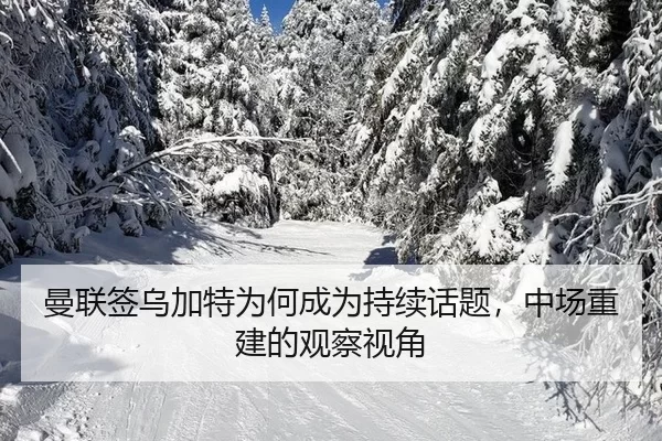 曼联签乌加特为何成为持续话题，中场重建的观察视角